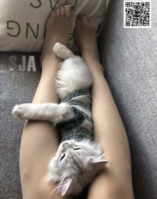国产之光麻豆传媒视频_BD英语全集免费观看