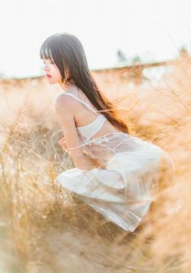 国产轮胎对比评测_DVD免费高清观看